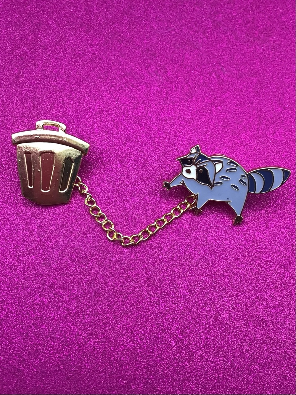Raccoon and Trash Can Pin Set